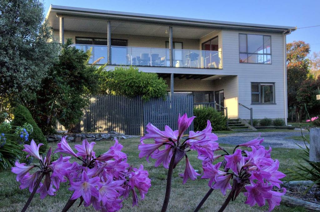 Cove Beach Apartment 1 Coles Bay Esterno foto